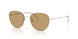 300273 - Gold - Brown
