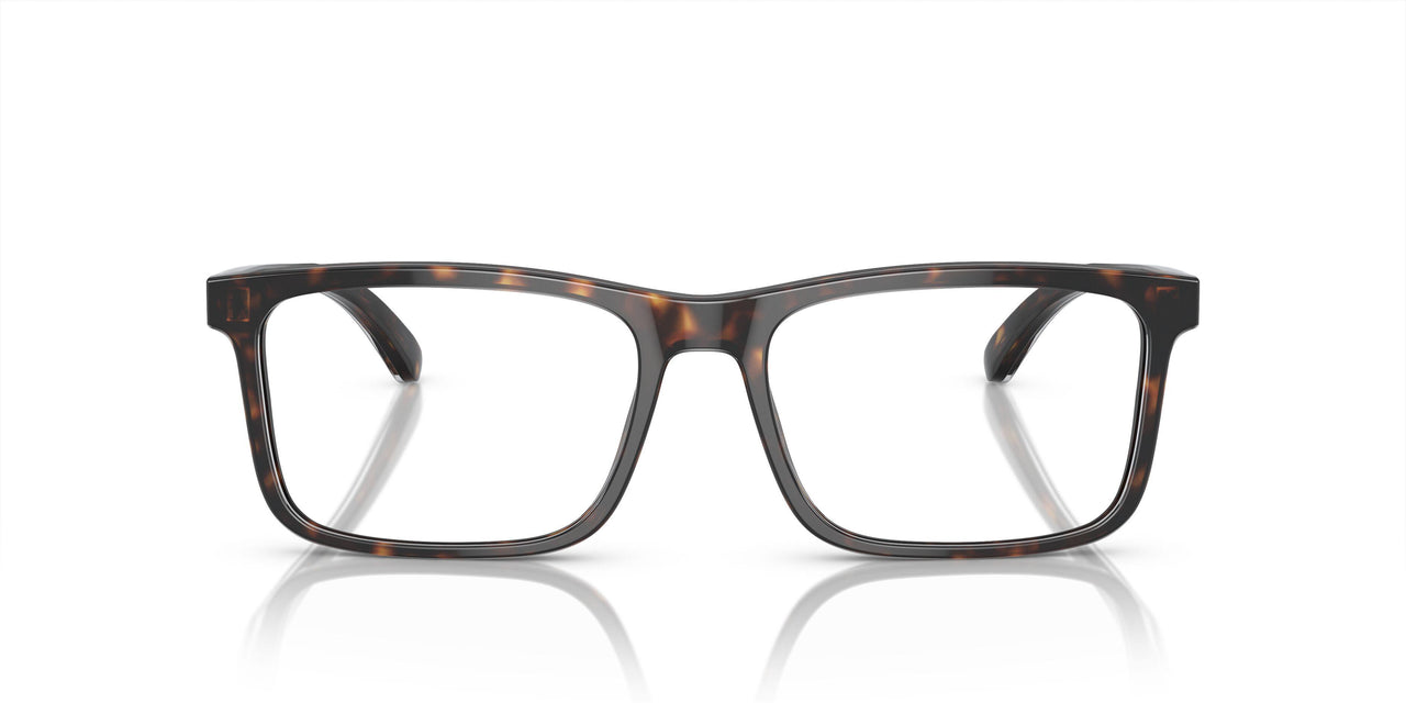6052 - Tortoise