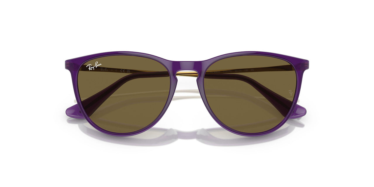 713173 - Violet - Dark Brown