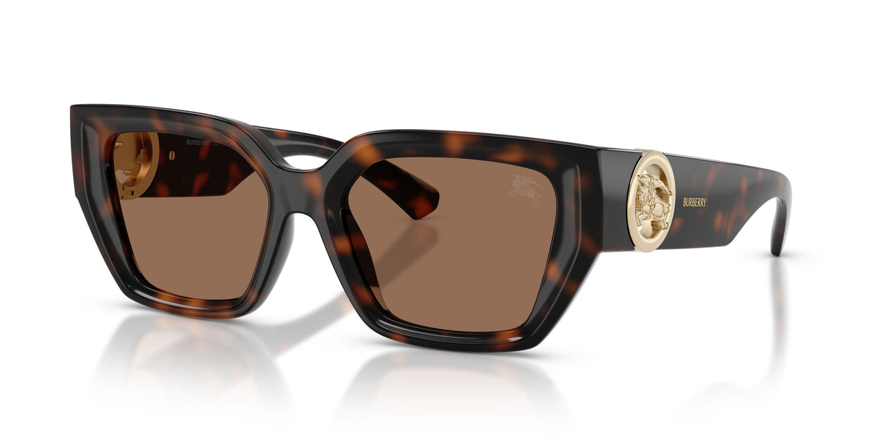 300273 - Brown - Dark Brown