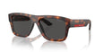 17X06F - Tortoise - Dark Grey