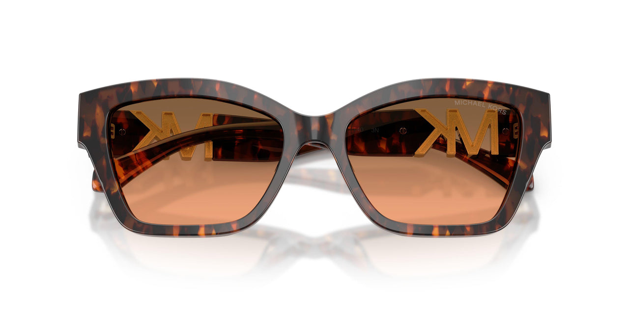403118 - Tortoise - Grey Orange Gradient