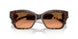 403118 - Tortoise - Grey Orange Gradient