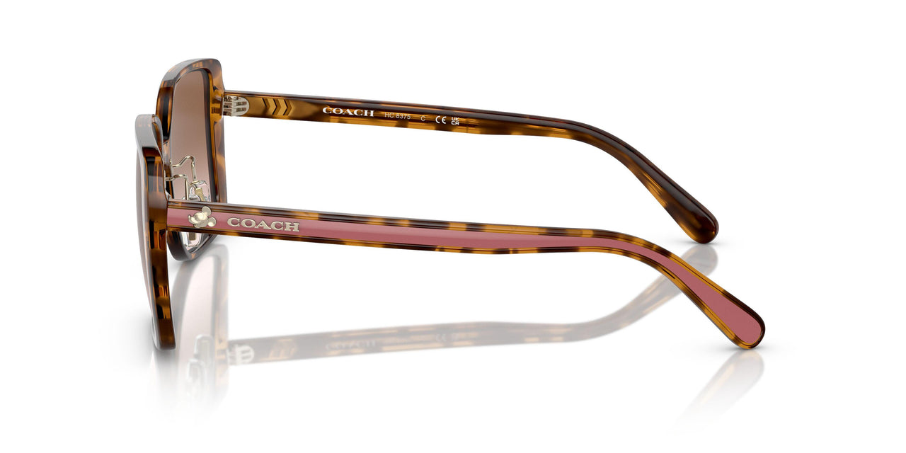 512013 - Tortoise - Brown Pink Gradient