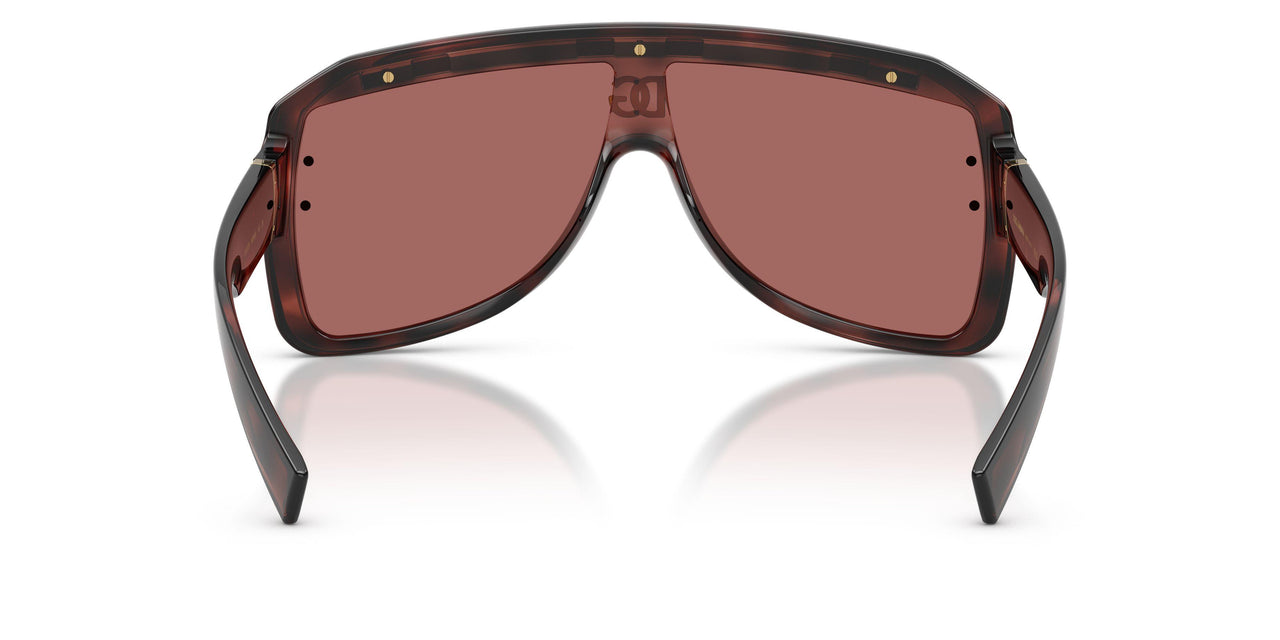 347669 - Tortoise - Dark Violet