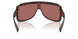 347669 - Tortoise - Dark Violet