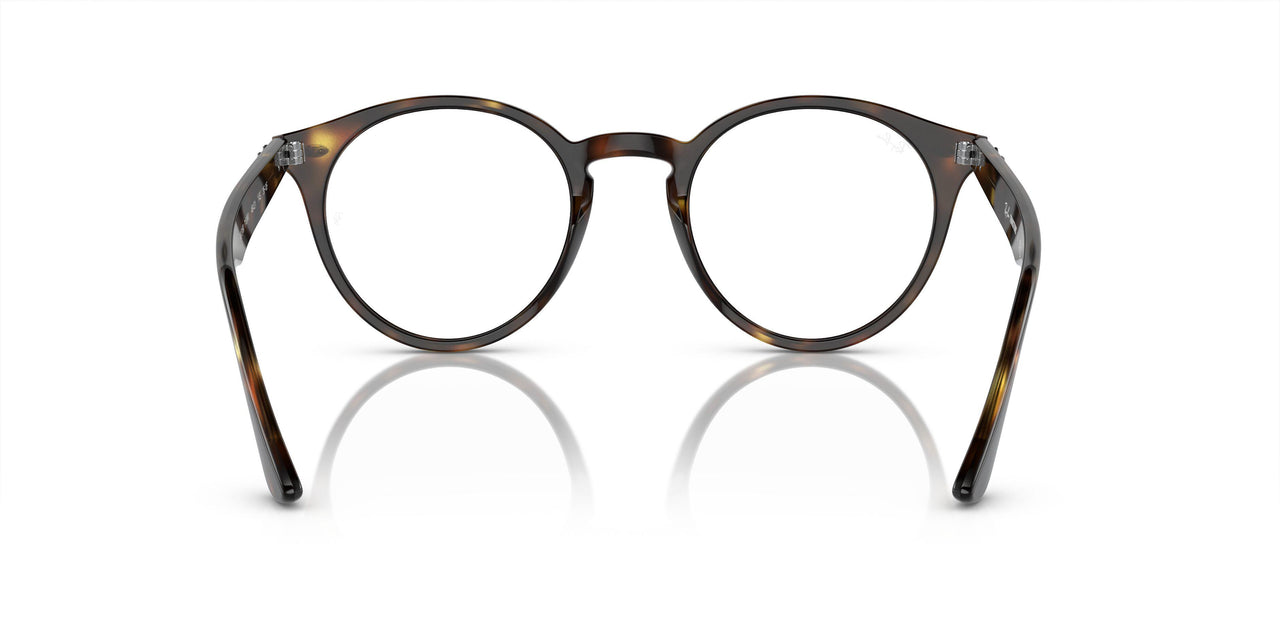 710/M1 - Havana - Photo Clear To Grey/green Quar