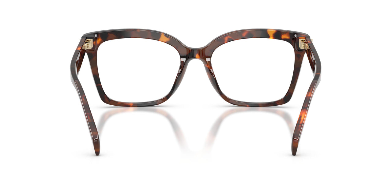 4031 - Tortoise