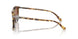 504573 - Tortoise - Brown Solid