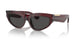 411587 - Red - Dark Grey