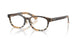 4202 - Brown