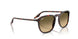 14290A - Red - Brown Vintage Gradient Black