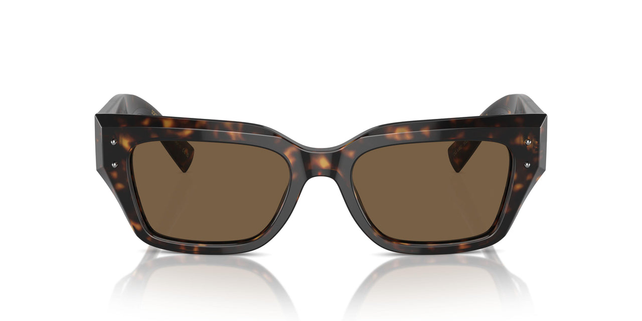 502/73 - Tortoise - Dark Brown