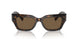 502/73 - Tortoise - Dark Brown