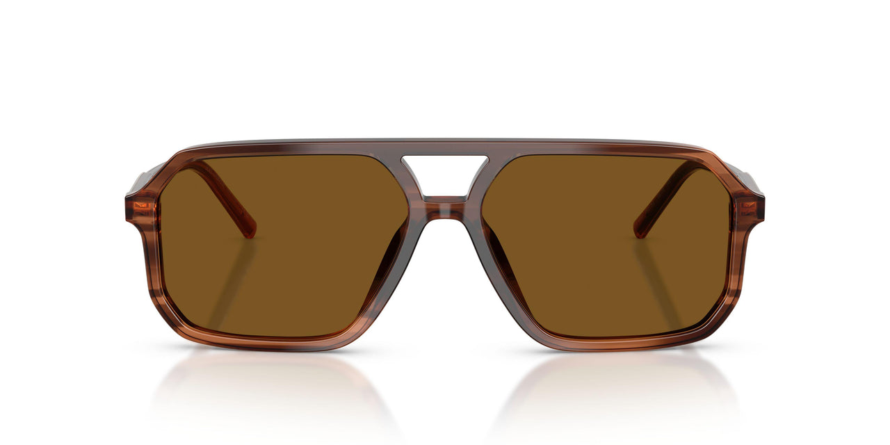 348183 - Brown - Dark Brown Polar