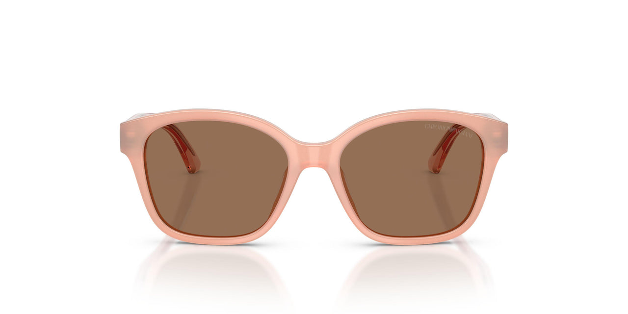 638773 - Pink - Dark Brown