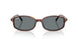 954/62 - Brown - Blue