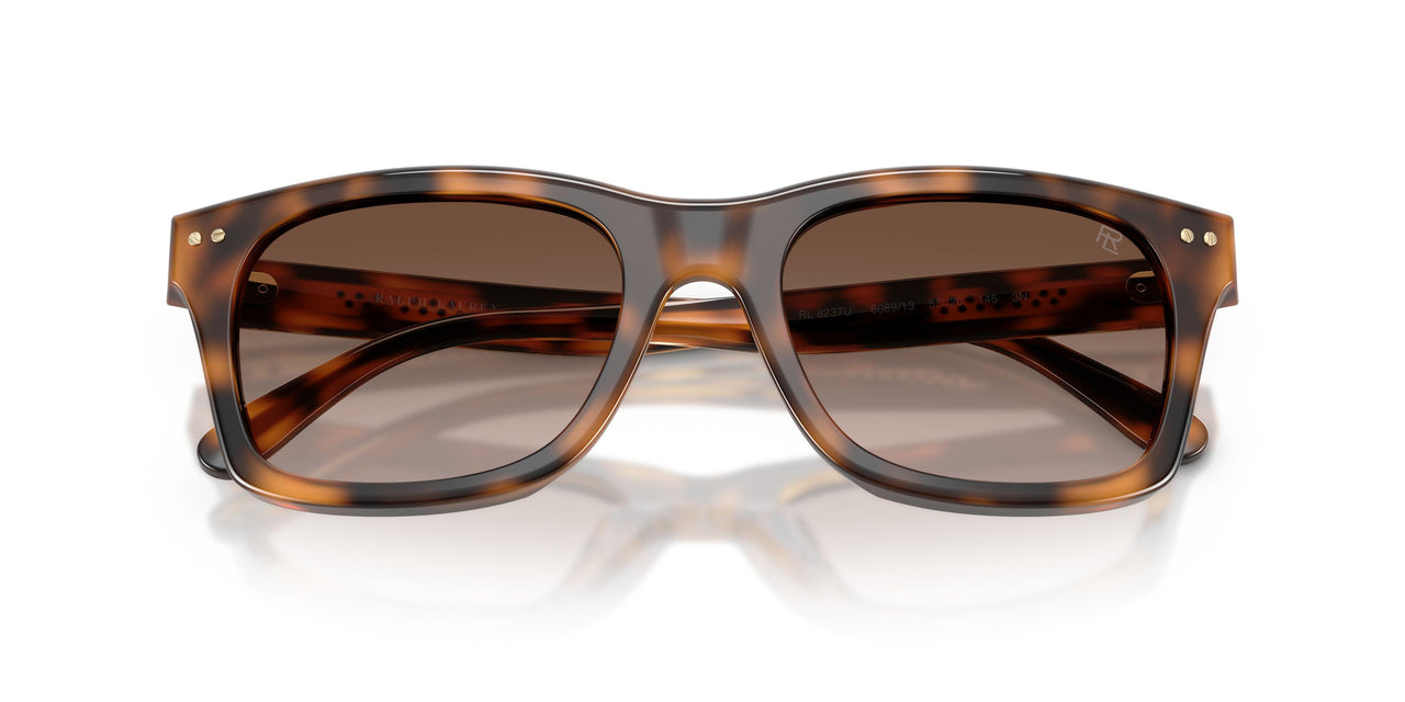608913 - Tortoise - Gradient Brown