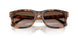 608913 - Tortoise - Gradient Brown