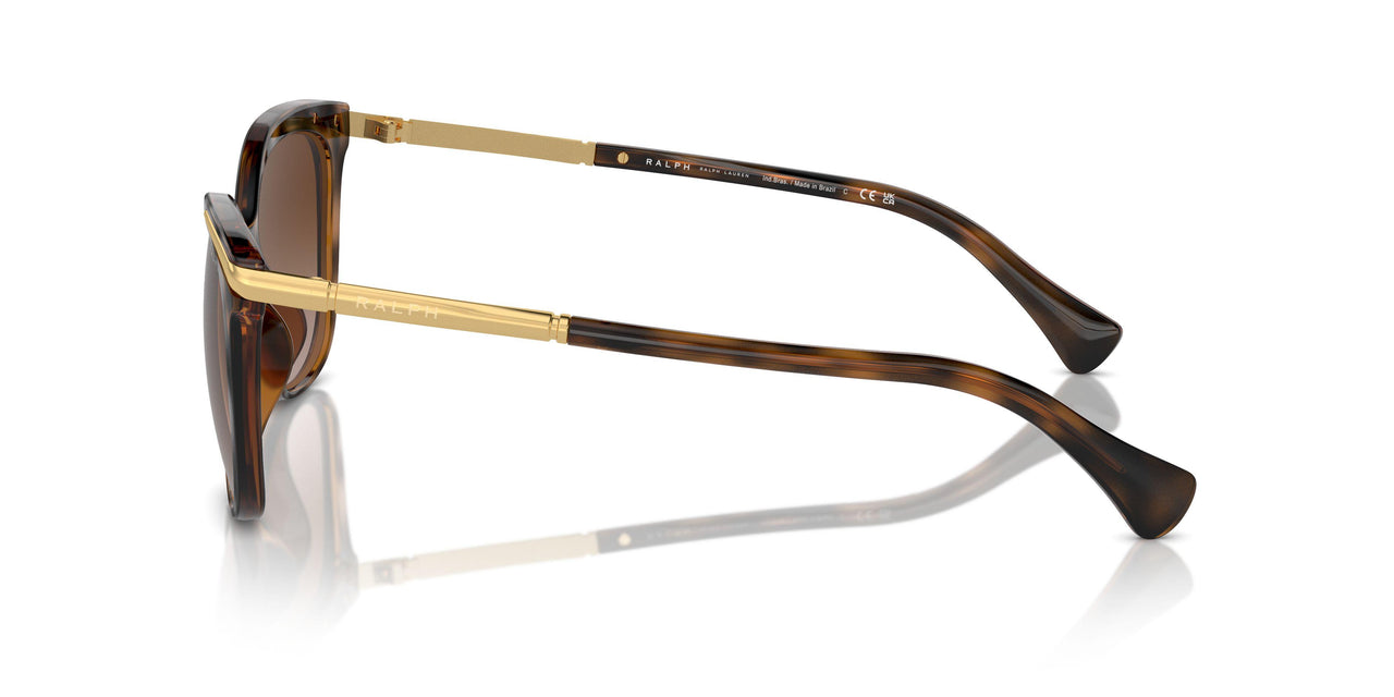 614913 - Brown - Gradient Brown