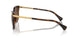 614913 - Brown - Gradient Brown