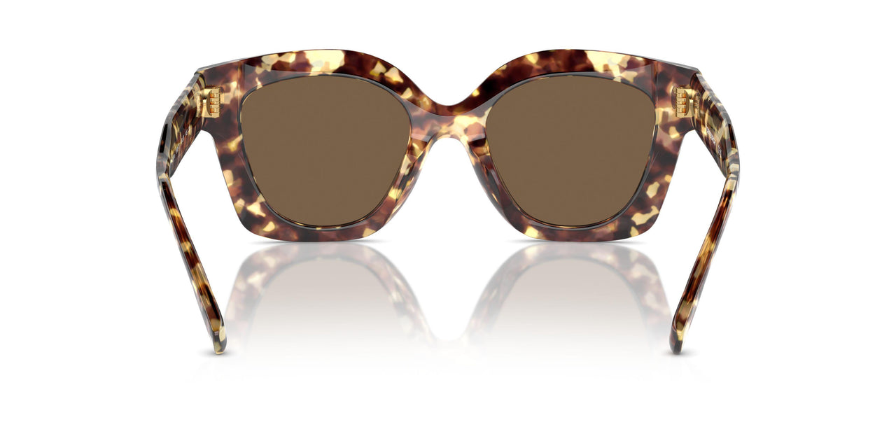 199573 - Tortoise - Dark Brown