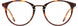 1 - Tortoise / Bronze