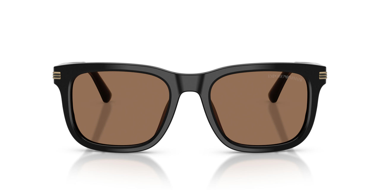501773 - Black - Dark Brown
