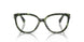3953 - Amazon Green Tortoise
