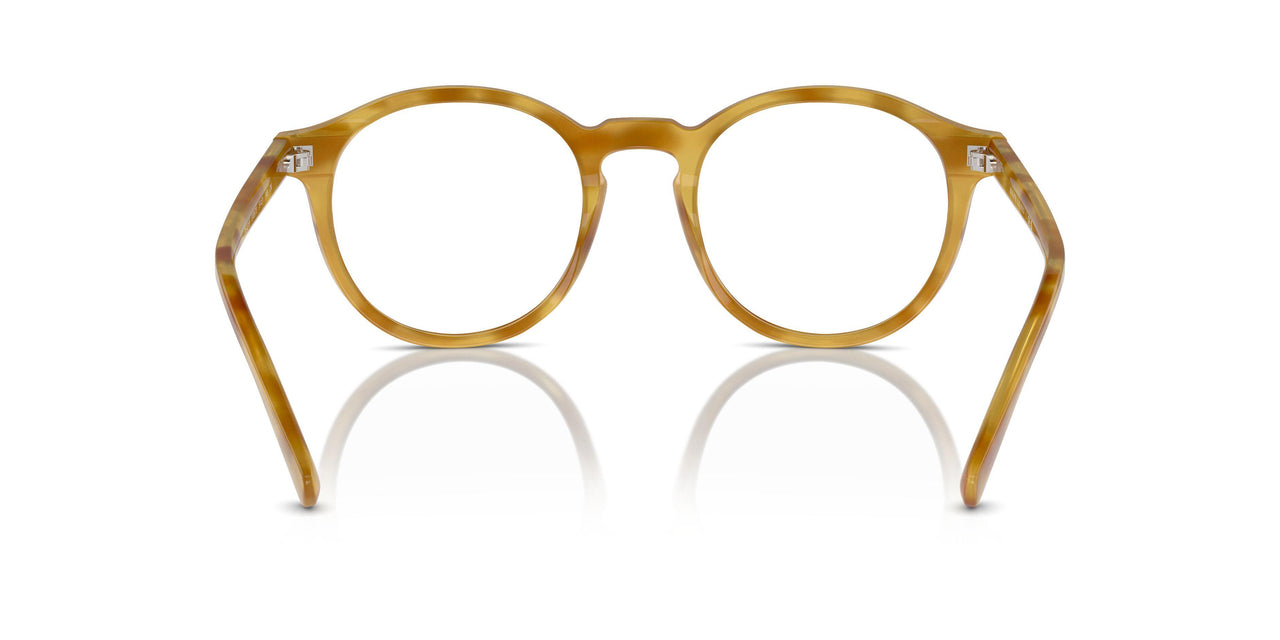 618573 - Tortoise - Brown