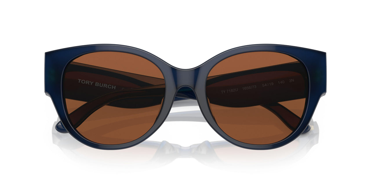 165673 - Blue - Solid Brown