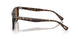 174173 - Tortoise - Brown