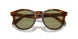 598814 - Brown - Green