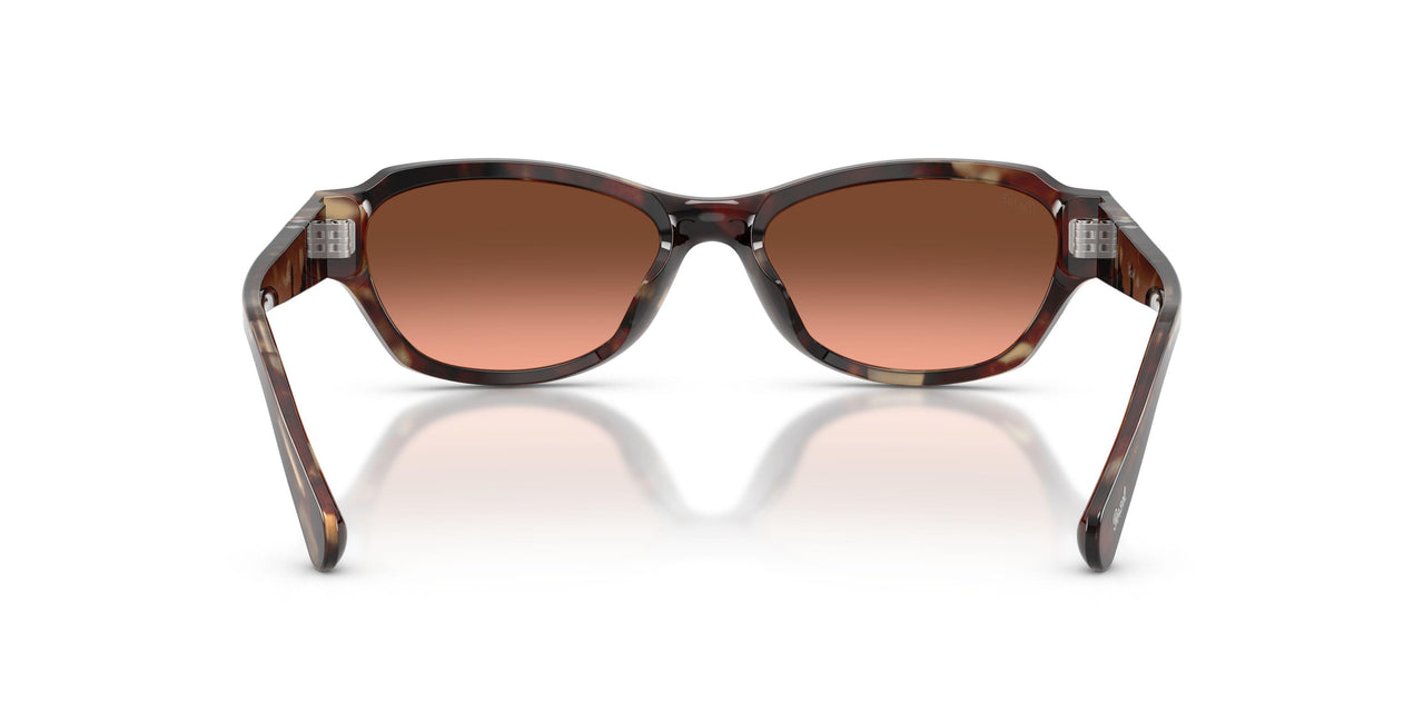 1246A5 - Tortoise - Pink Gradient Brown