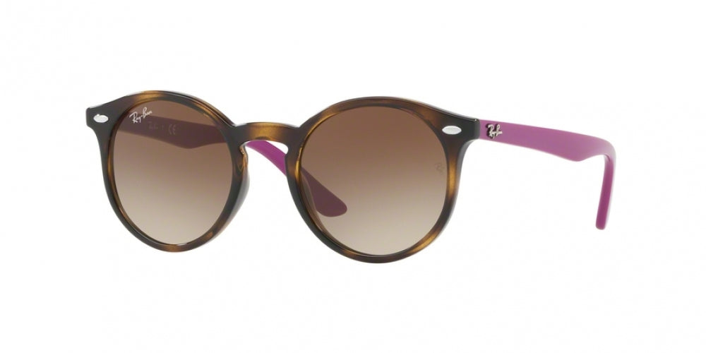 706468 - Transparent Fuxia - Violet Gradient Brown