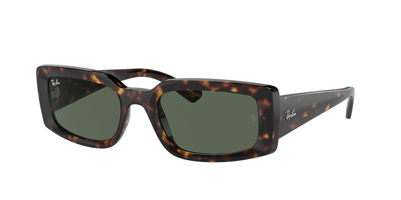 135971 - Tortoise - Grey Black