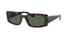 135971 - Tortoise - Grey Black
