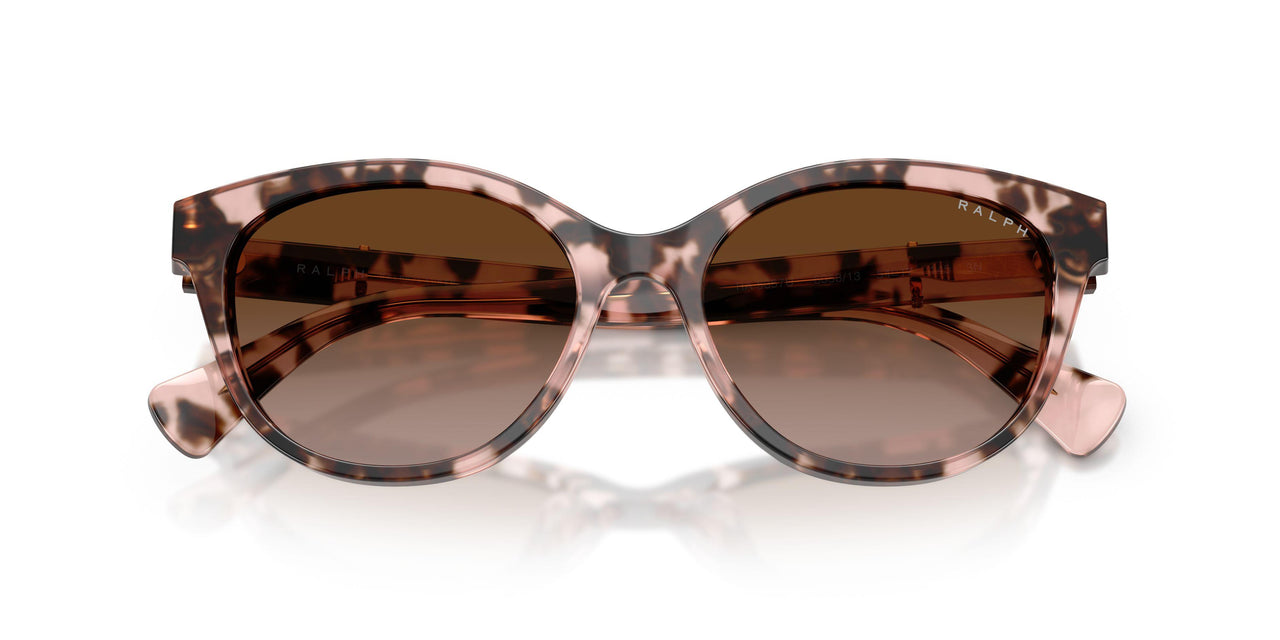 605813 - Tortoise - Gradient Brown