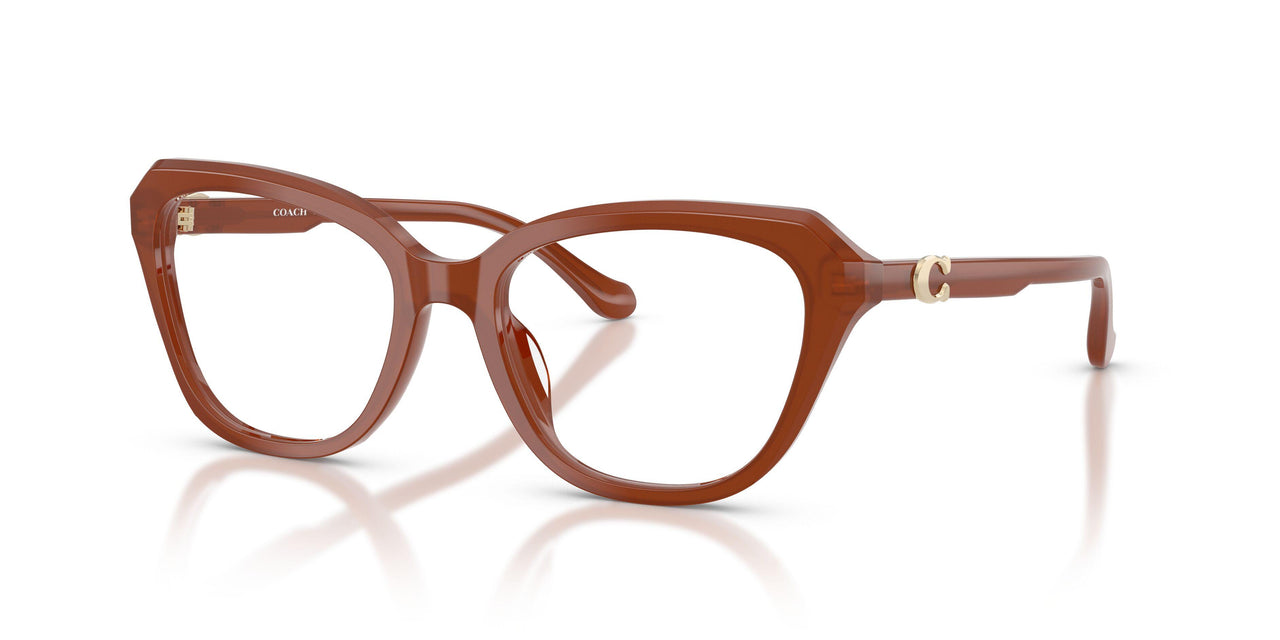 5841 - Brown