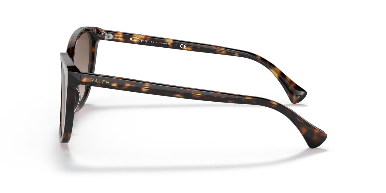 500313 - Havana - Brown Gradient
