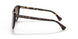 500313 - Havana - Brown Gradient