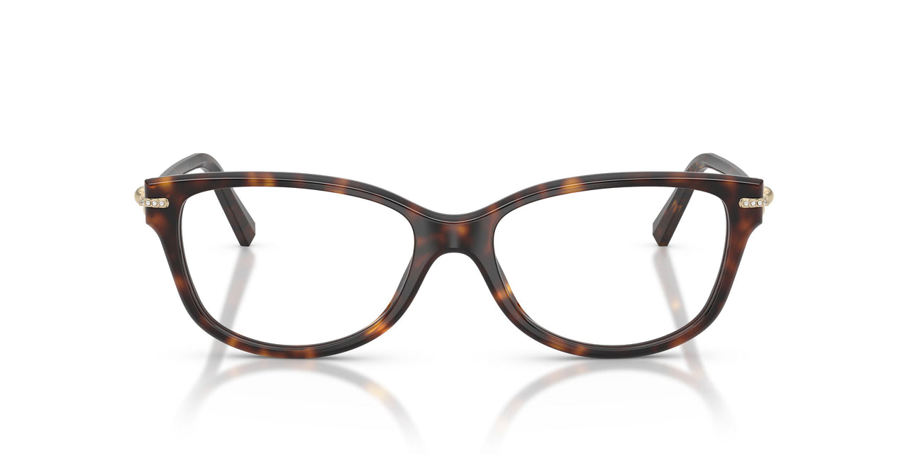 8015 - Tortoise