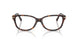 8015 - Tortoise