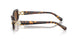 100273 - Tortoise - Dark Brown