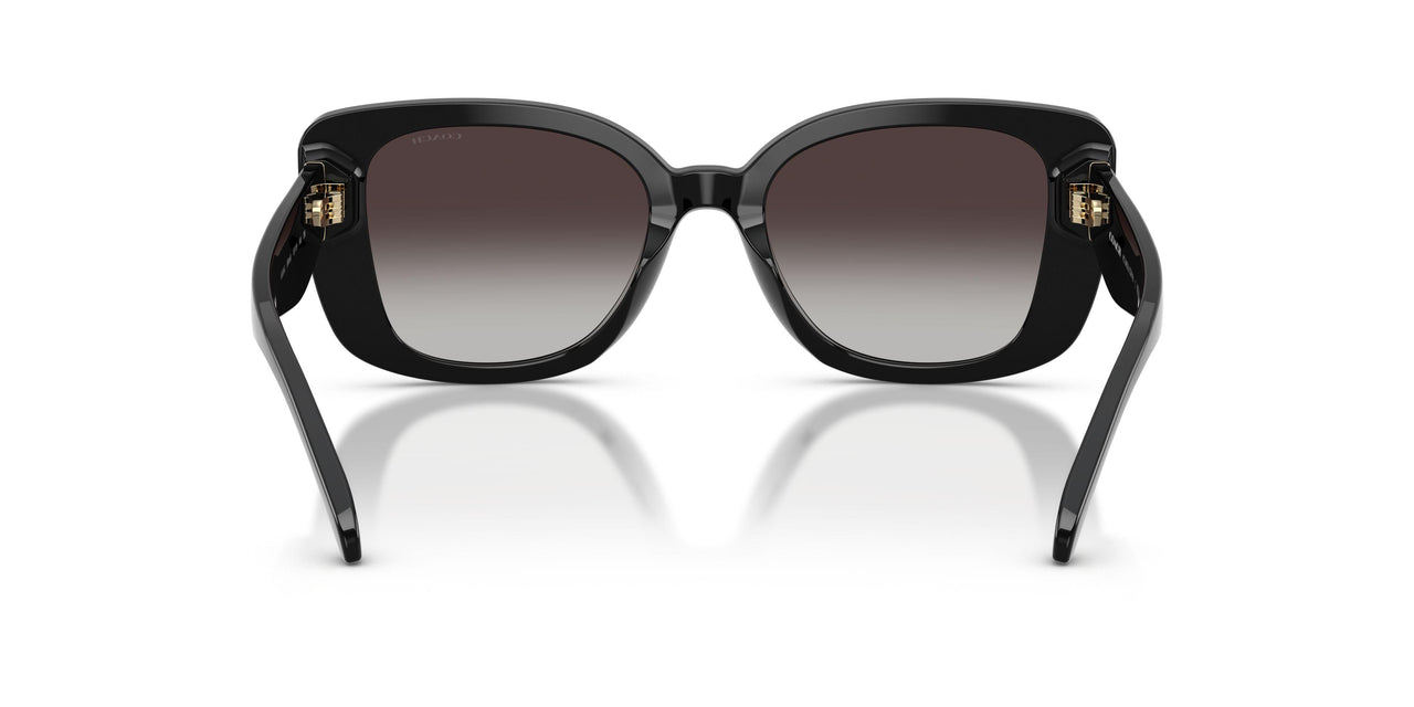 50028G - Black - Grey Gradient