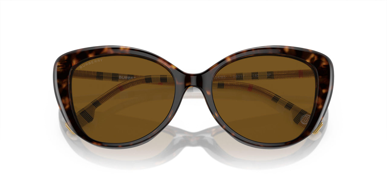 385483 - Brown - Brown Polar