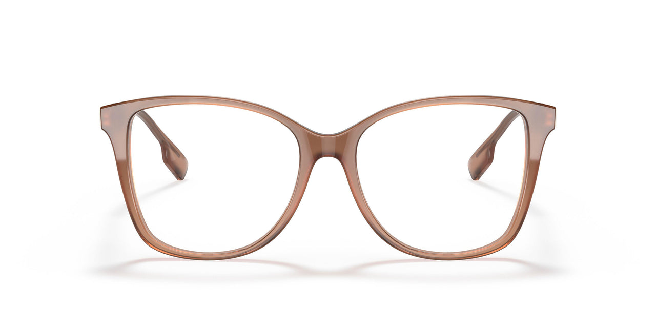 3173 - Brown
