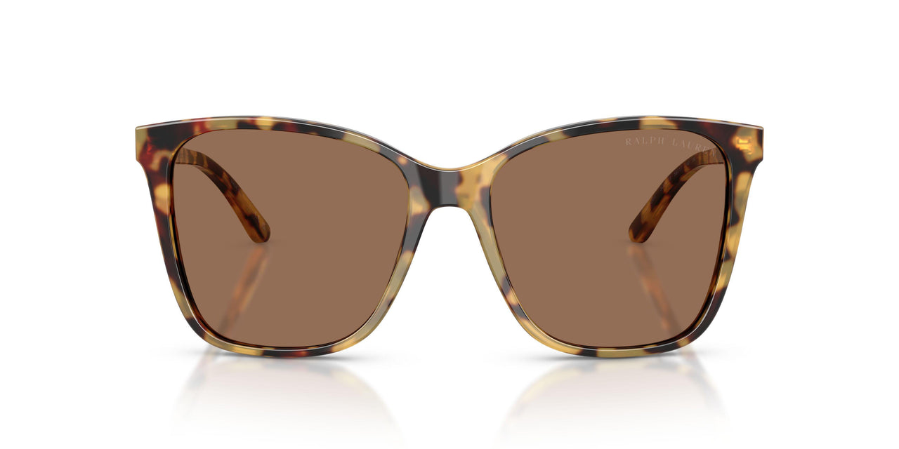 500473 - Brown - Brown