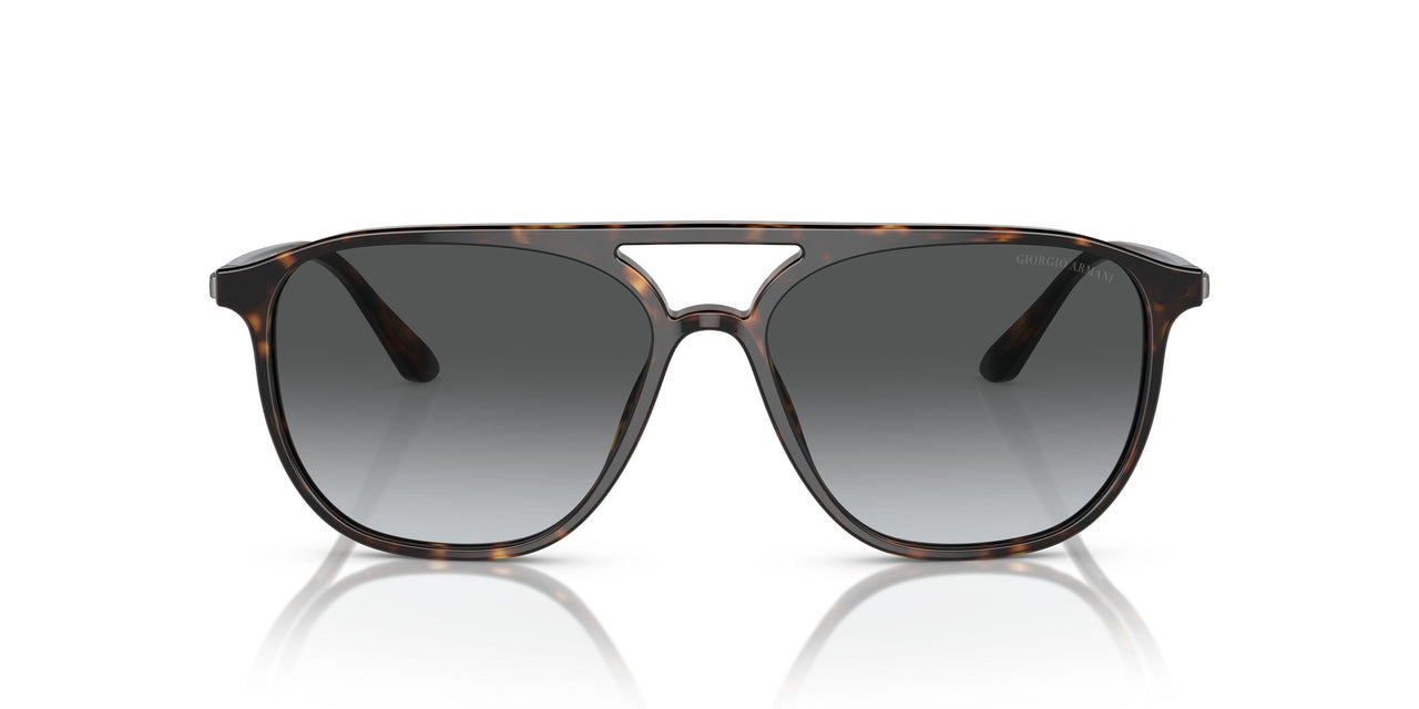 5026T3 - Tortoise - Gradient Grey