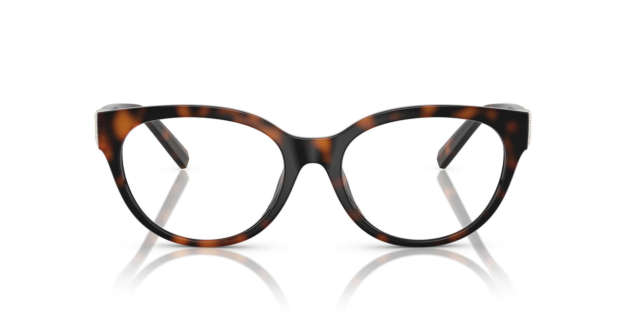 8015 - Tortoise